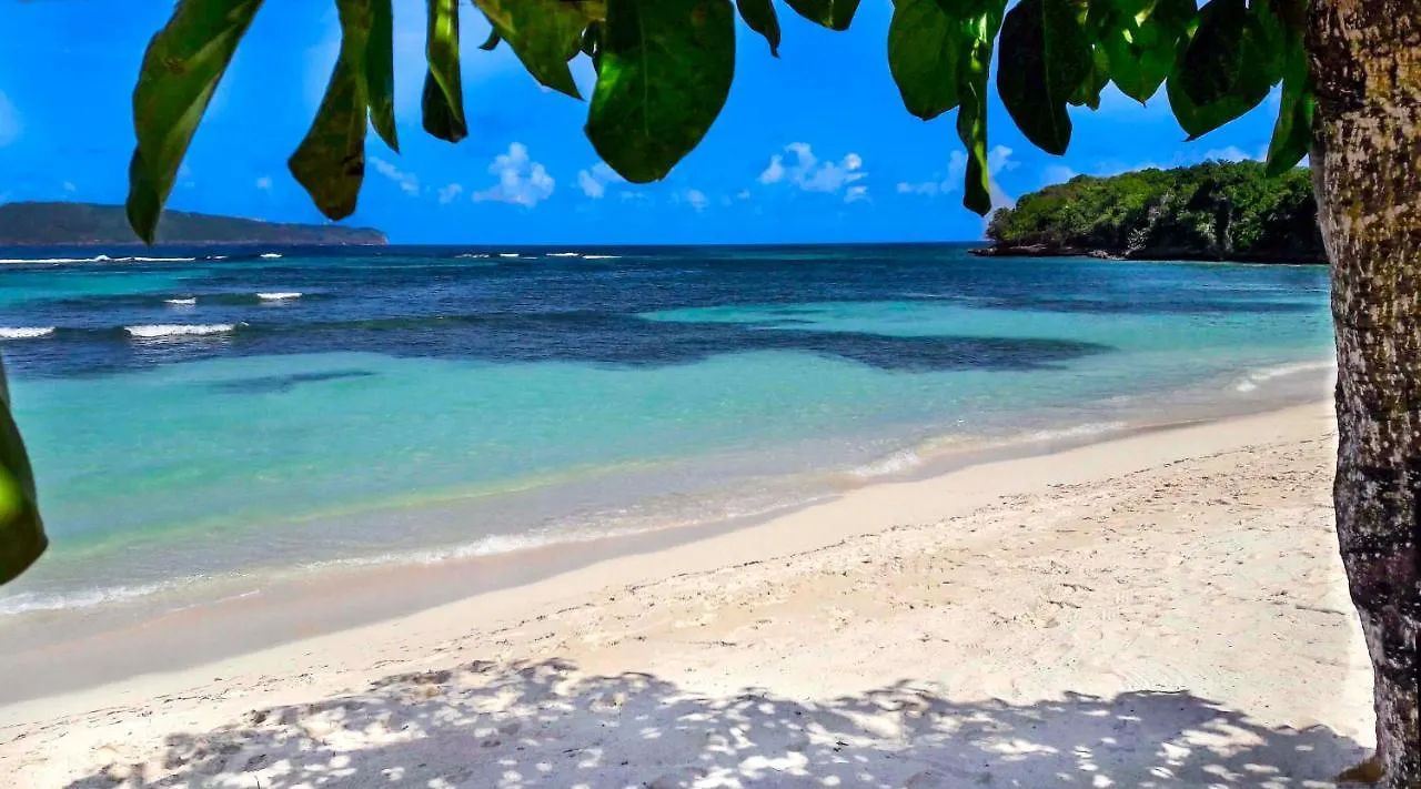 El Pelicano Apart-Hotel Las Galeras